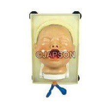 Newborn Baby Model, Intubation Newborn Baby Model, Intubation